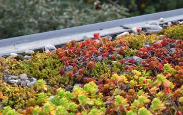 the cost of Ballentoul green roof installation