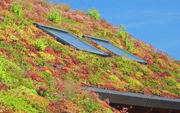 Ballentoul living roof systems